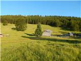 Kranjski Rak - Kapela Marije Snežne (Velika planina)